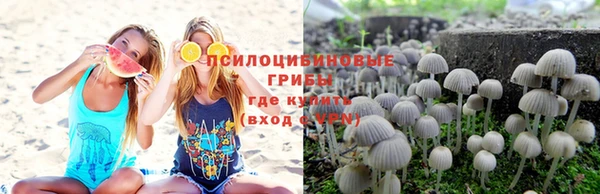 спиды Вуктыл